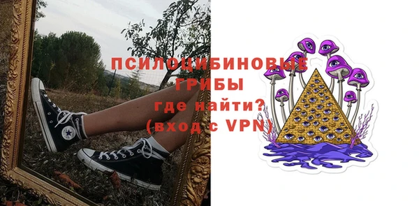 соль ск Балахна